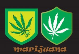 synthetic marijuana